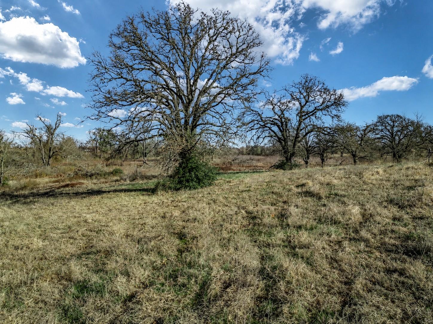 19 County Road 721 None Property Photo 9