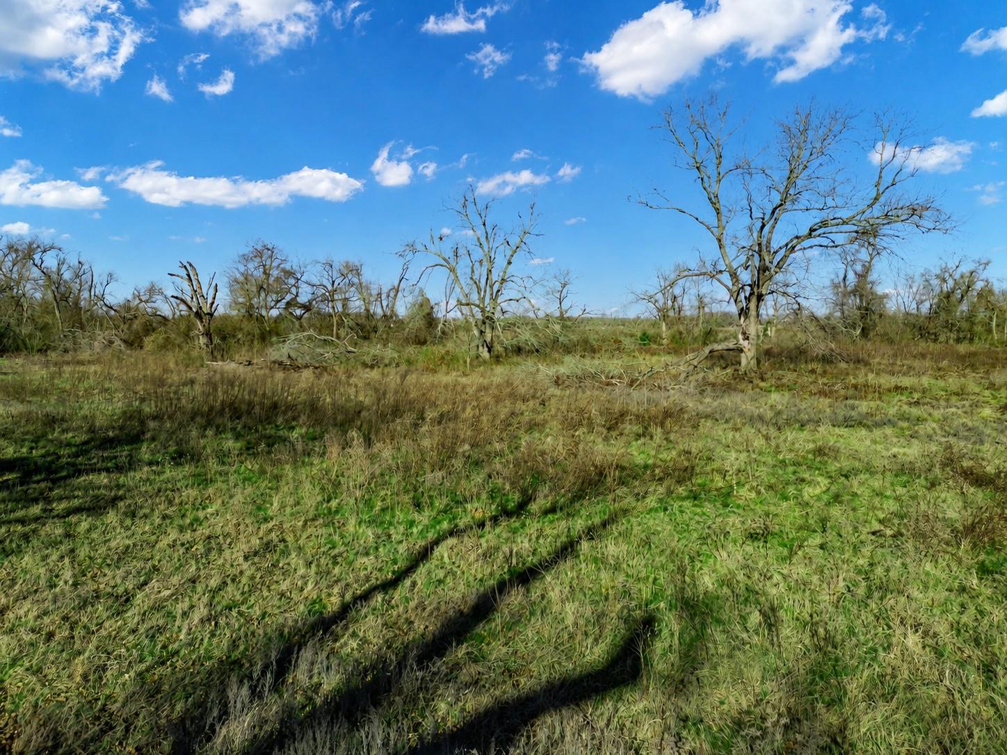 19 County Road 721 None Property Photo 14