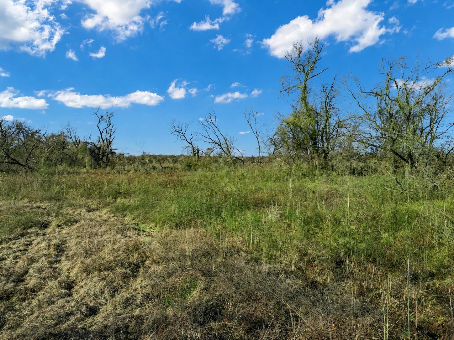 19 County Road 721 None Property Photo 16
