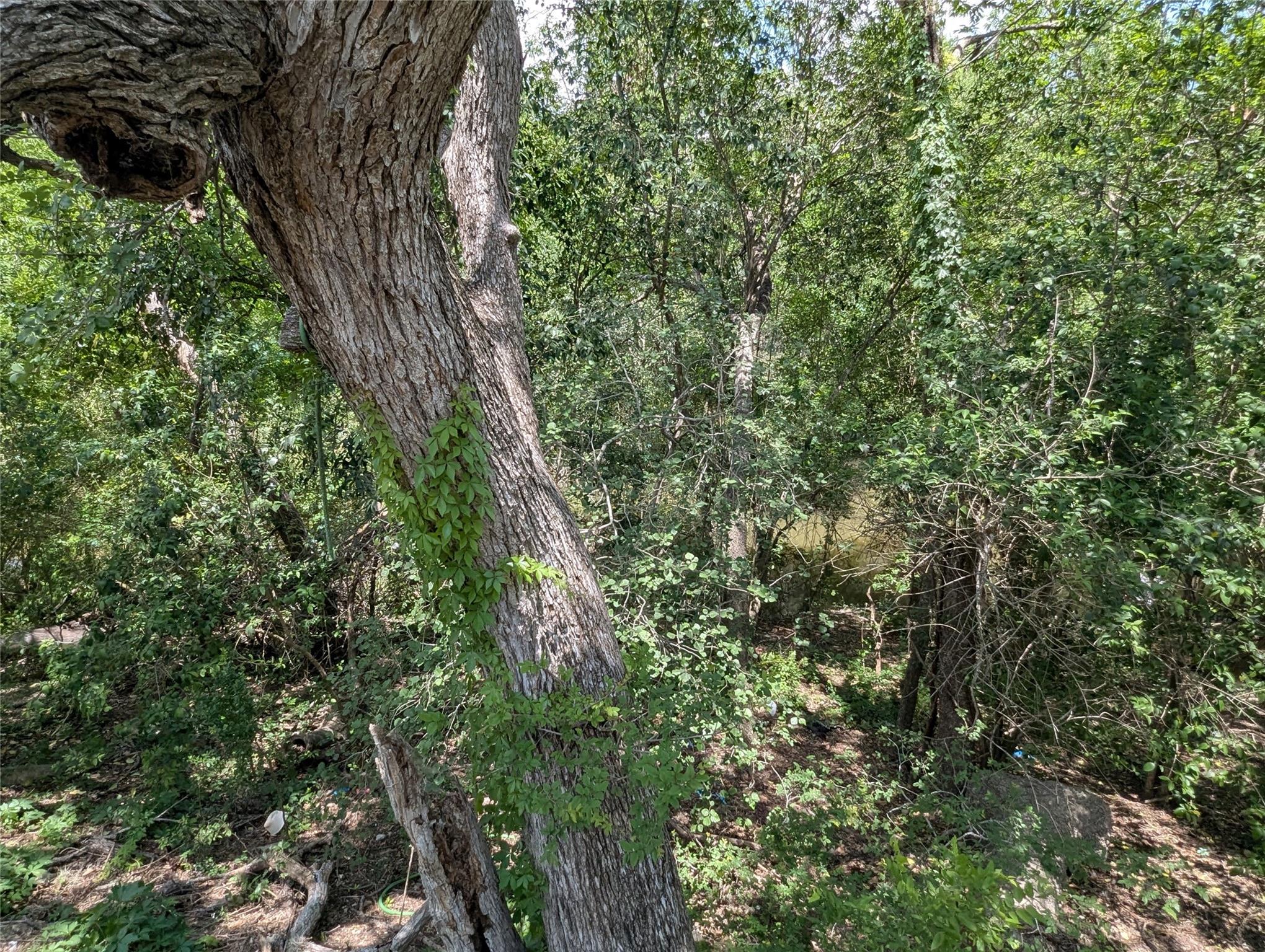 523 E Bundy St Property Photo 3