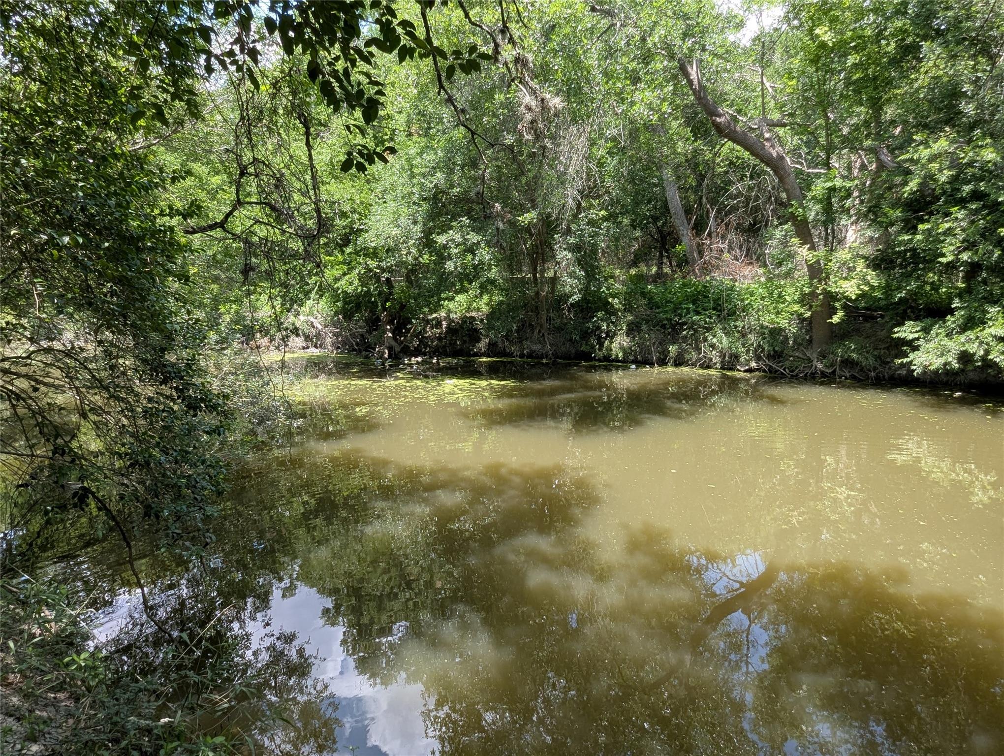 523 E Bundy St Property Photo 4