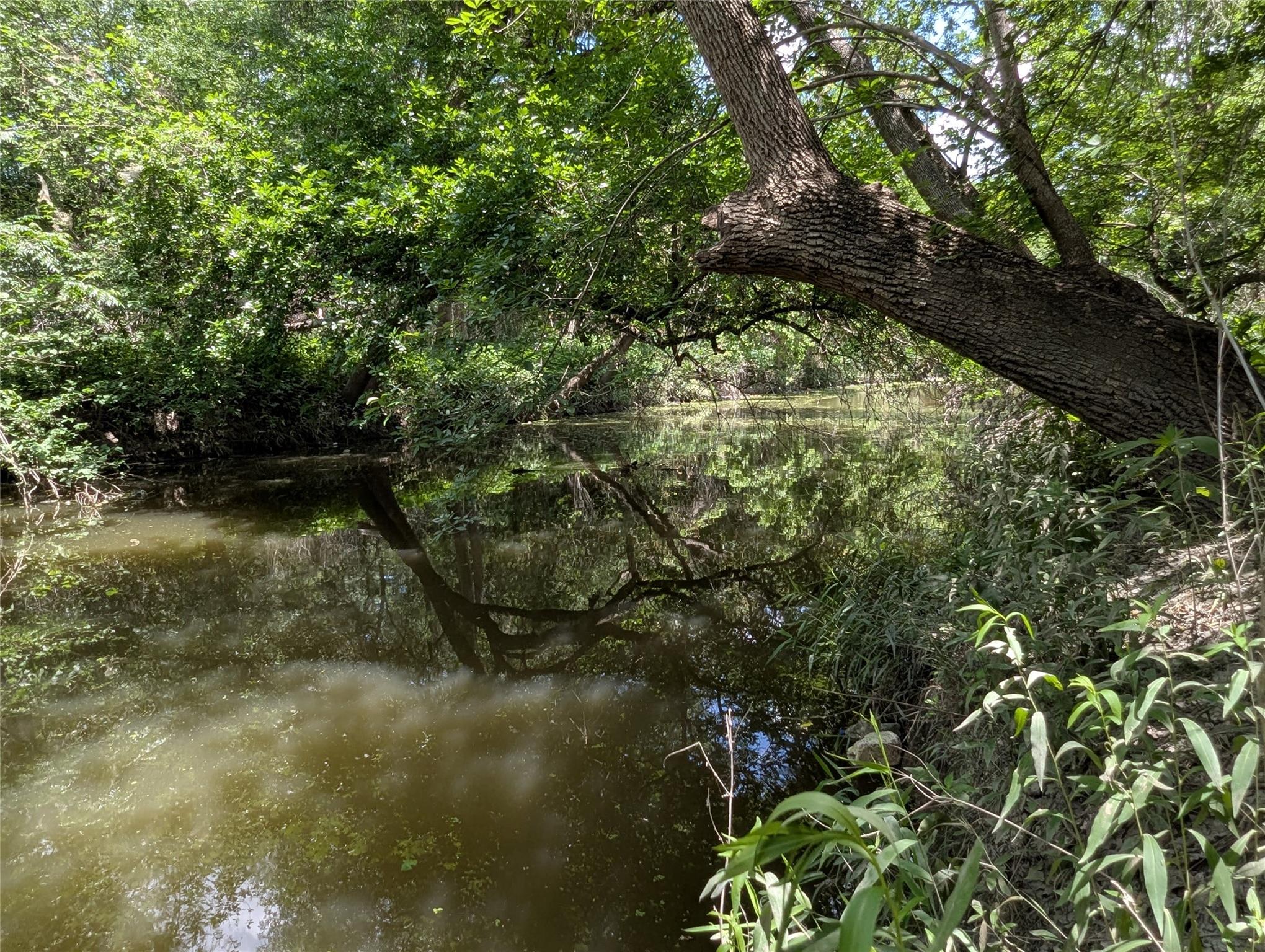 523 E Bundy St Property Photo 5