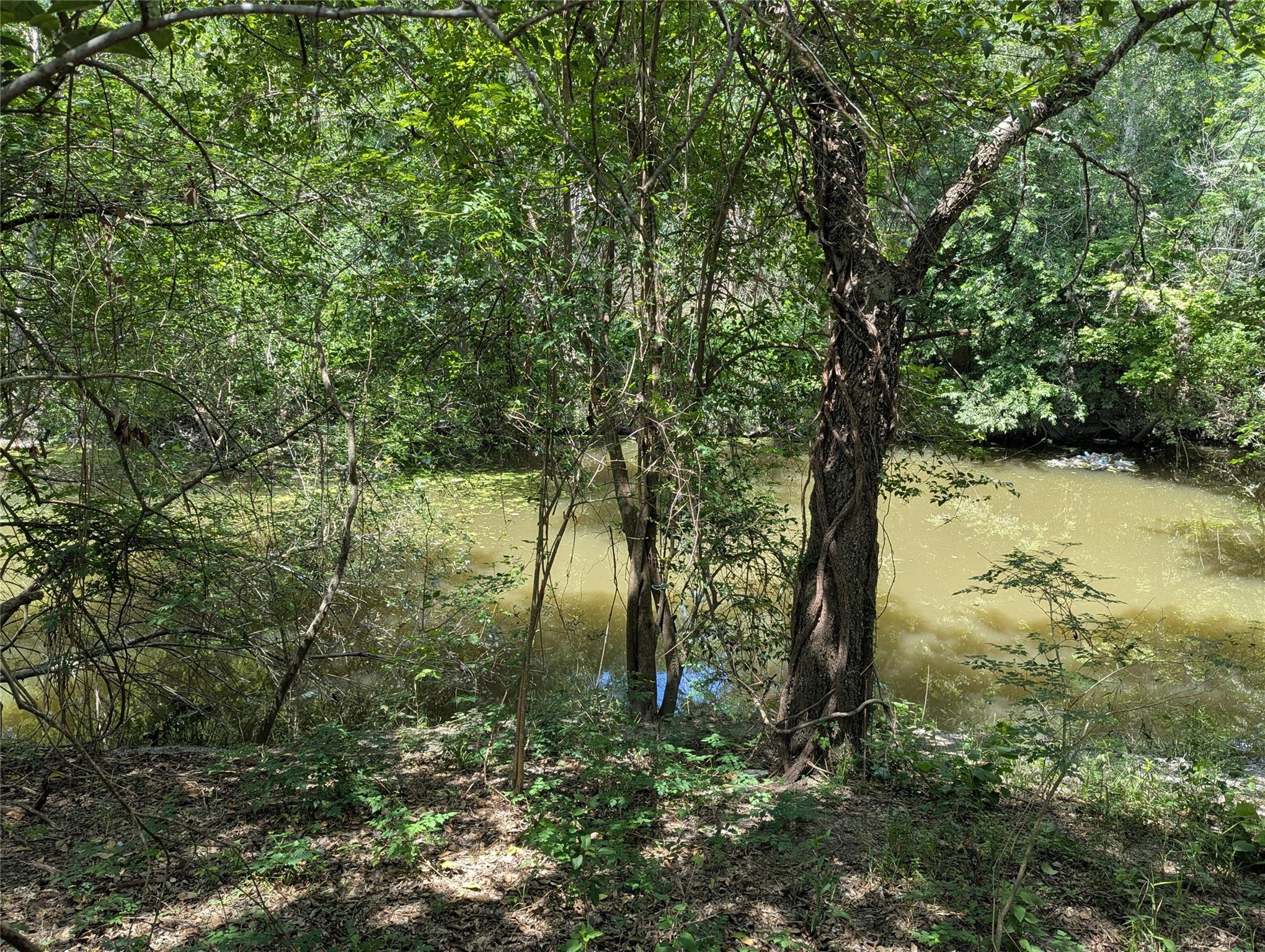 523 E Bundy St Property Photo 9