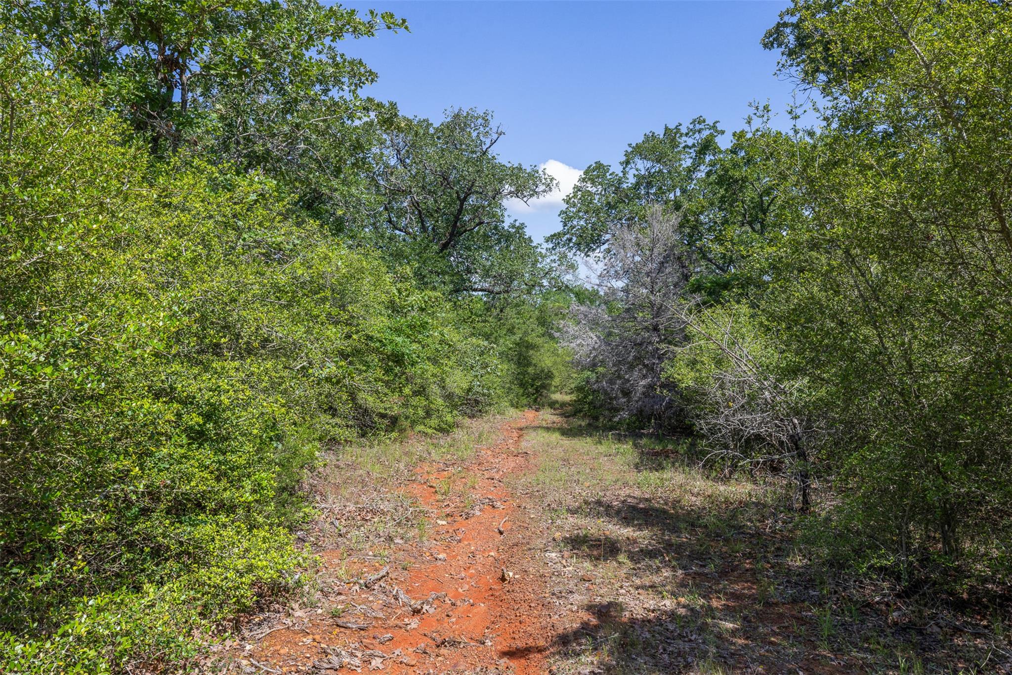 1306 22 Hills Rd Property Photo 23