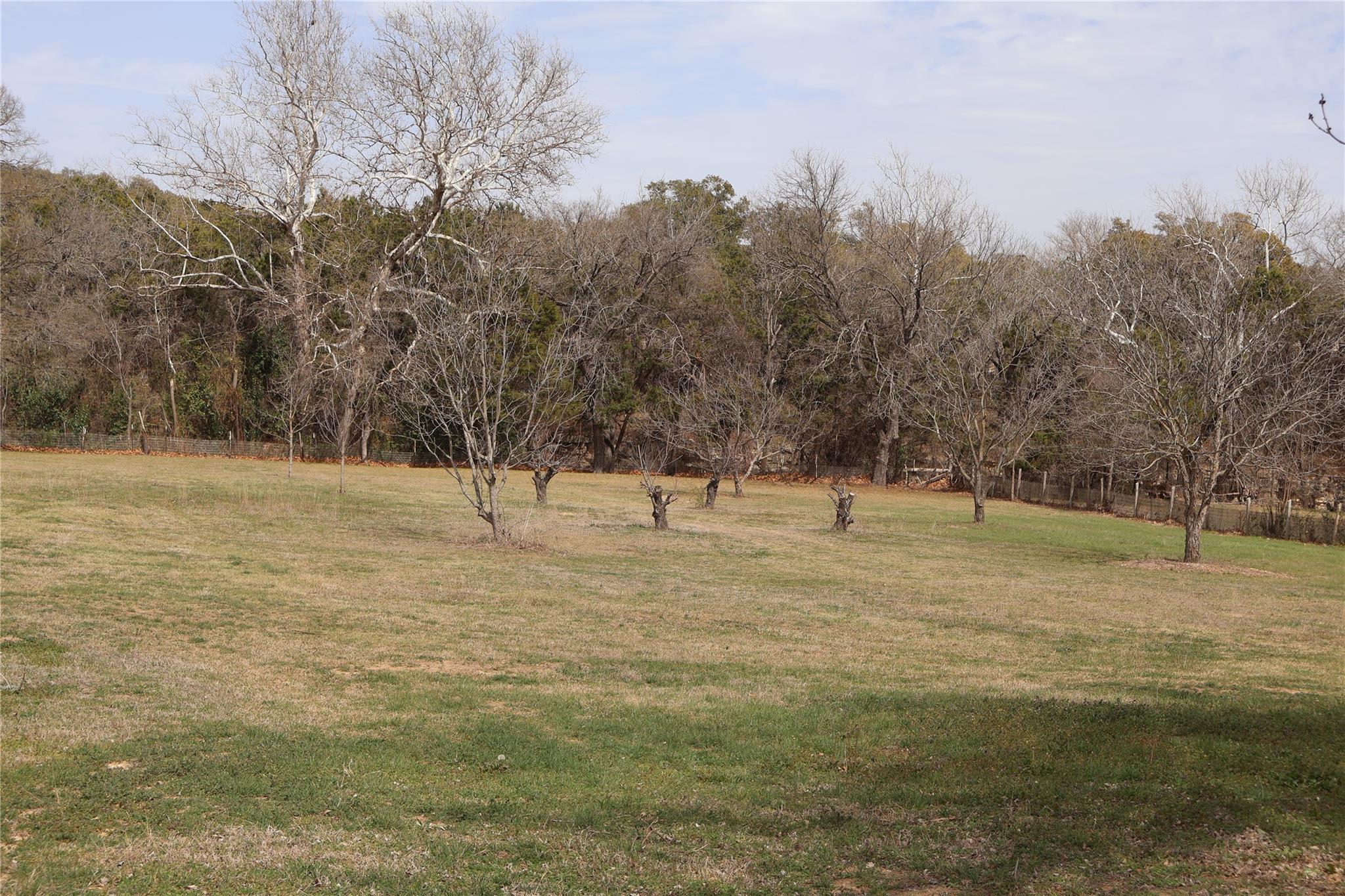 21604 Cold Spring Dr Property Photo 3