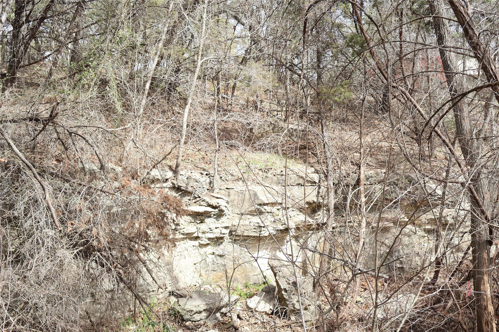 21604 Cold Spring Dr Property Photo 19