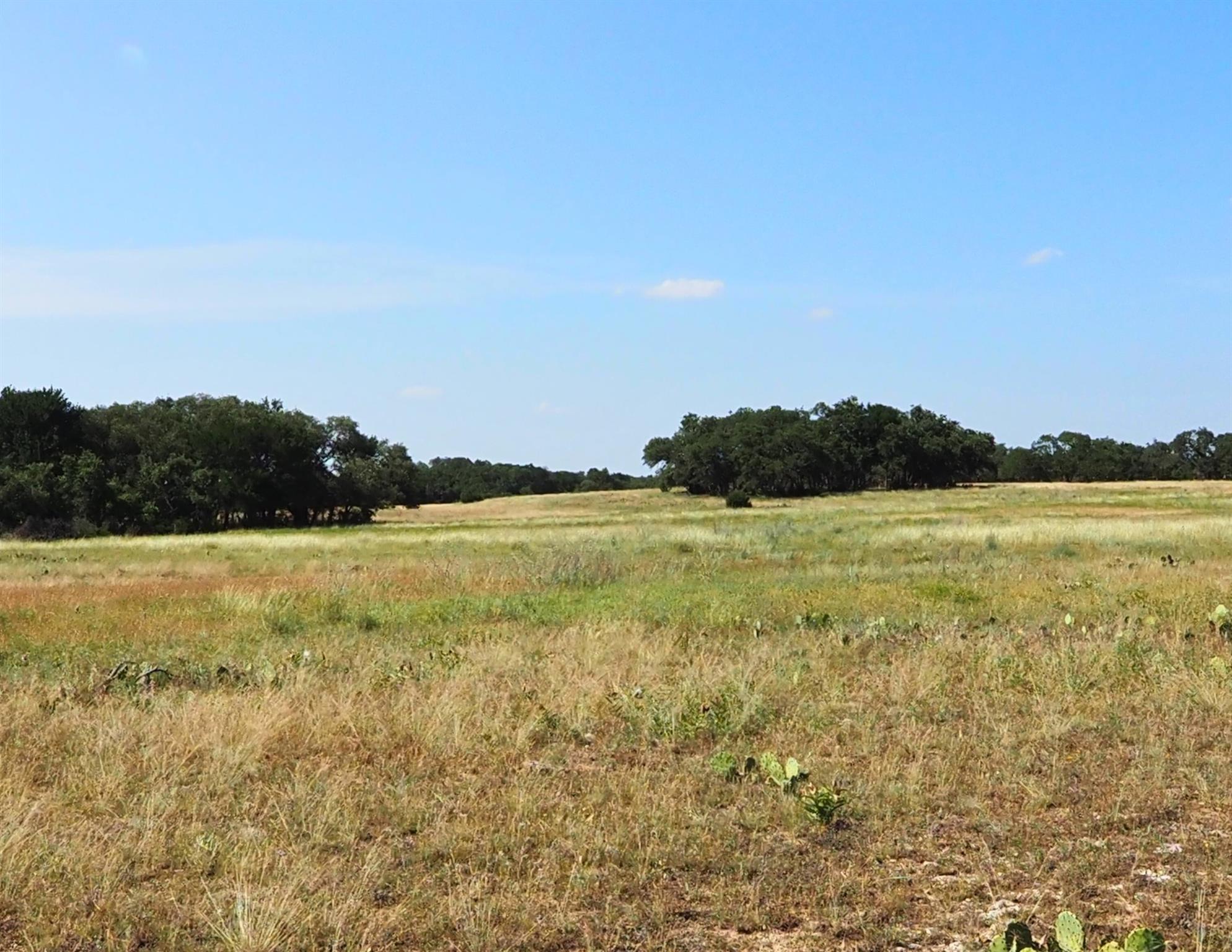 2901 County Road 228 Rd Property Photo 5