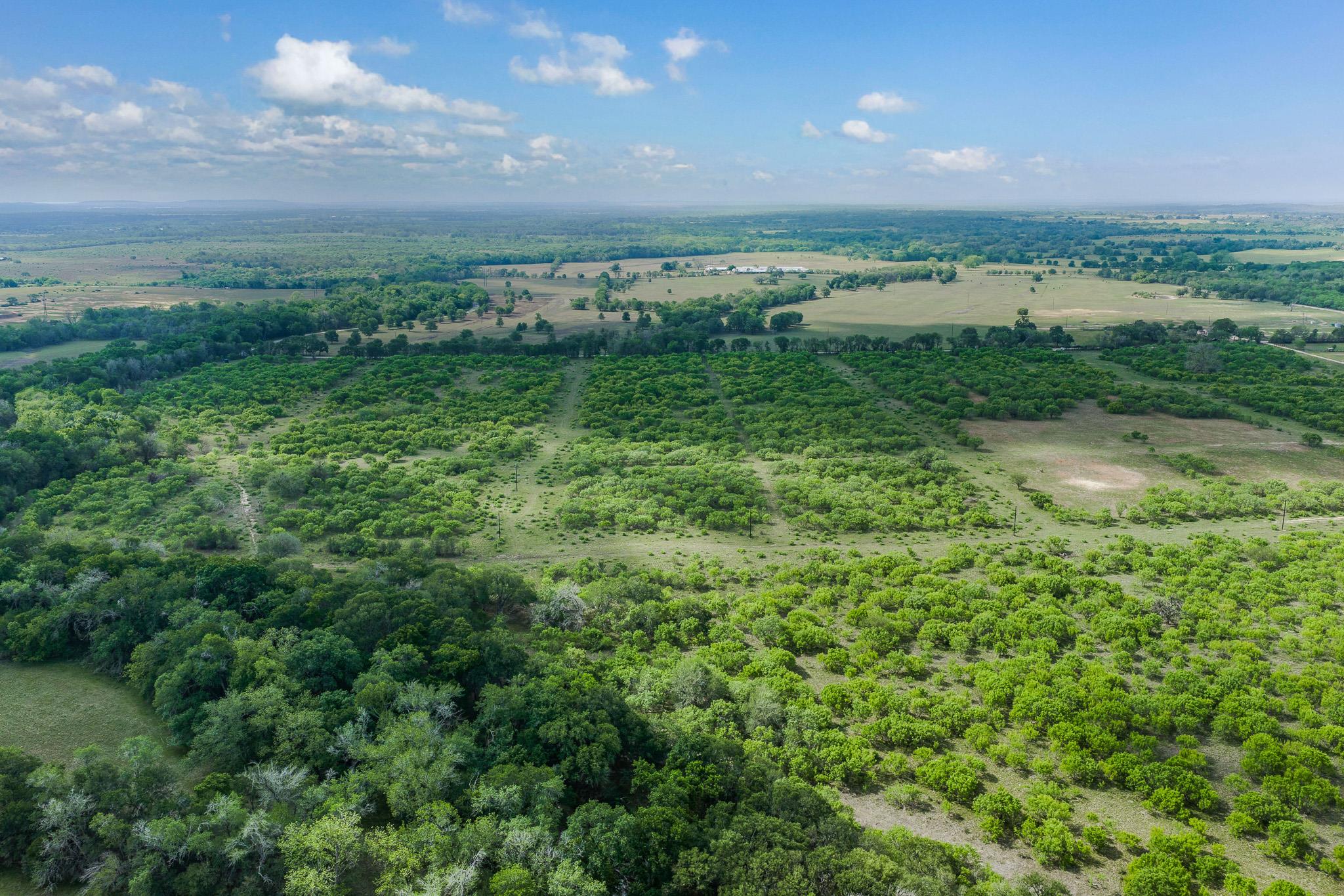Tbd Lot 4 Young Ln Property Photo 8