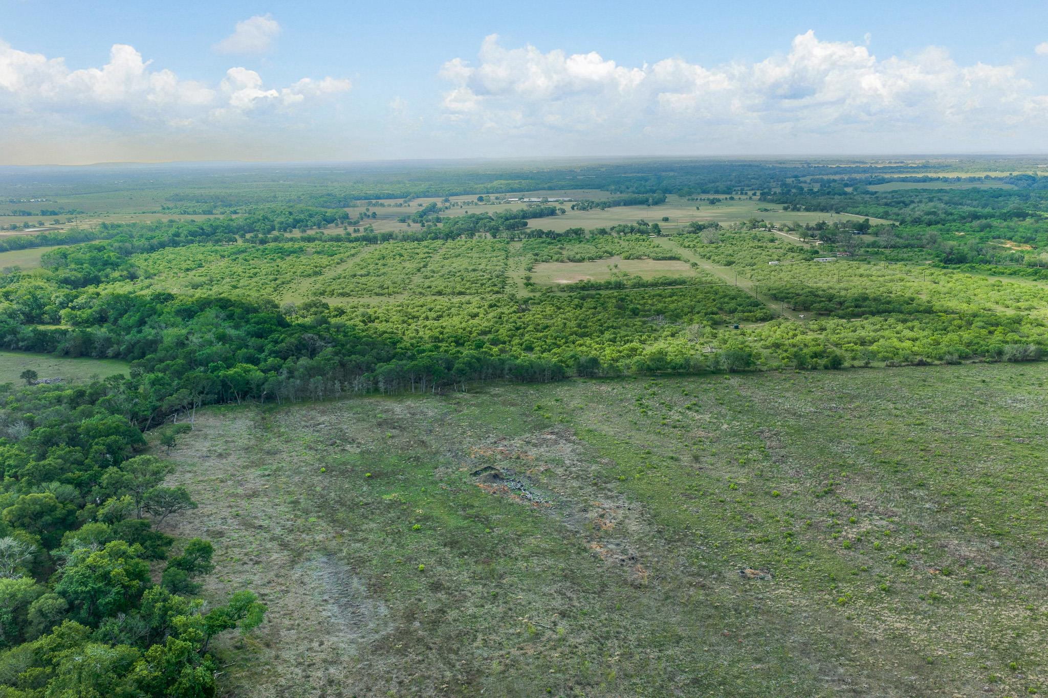 Tbd Lot 4 Young Ln Property Photo 9