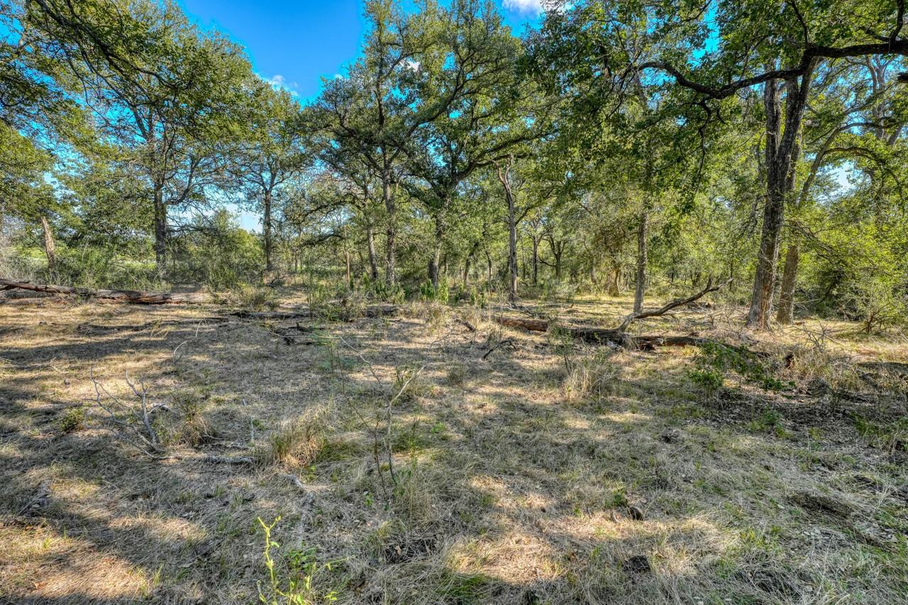12222 N Fm 487 Property Photo 22