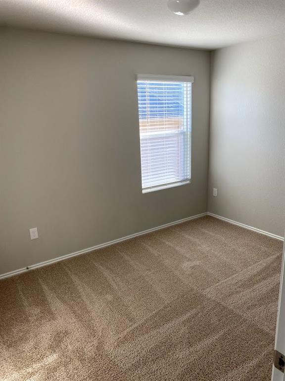 12901 Brahmin Dr Property Photo 13