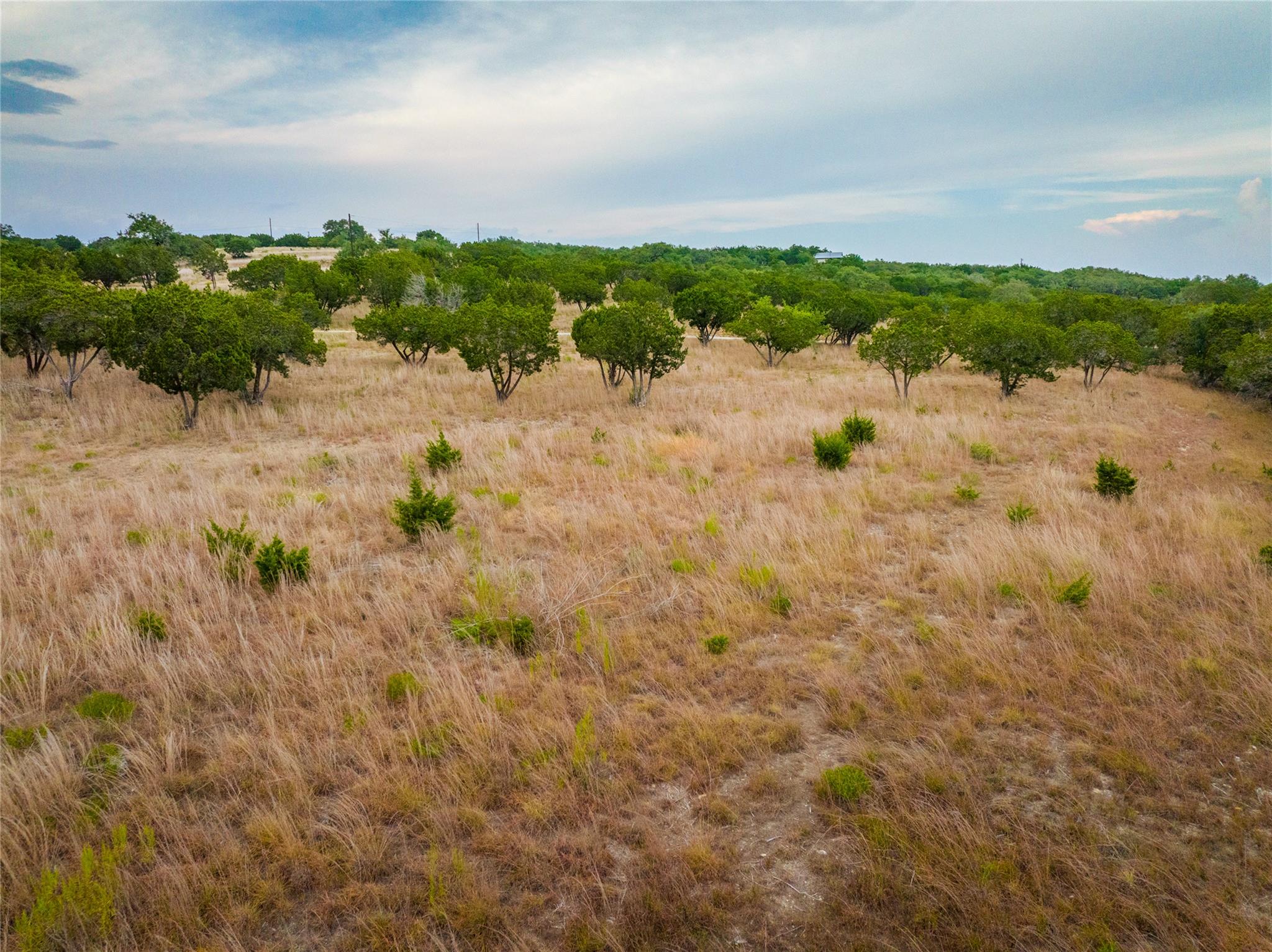 5818 Fm 165 Lot 3 Property Photo 8