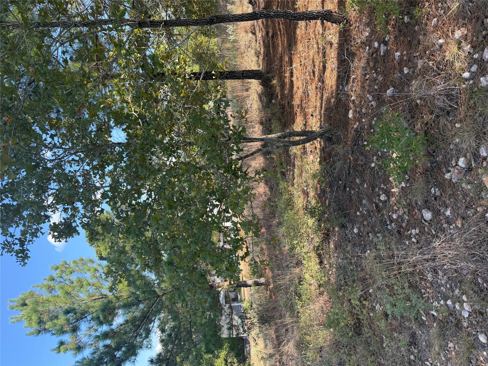 Lot 702 Oahu Ct Property Photo 1