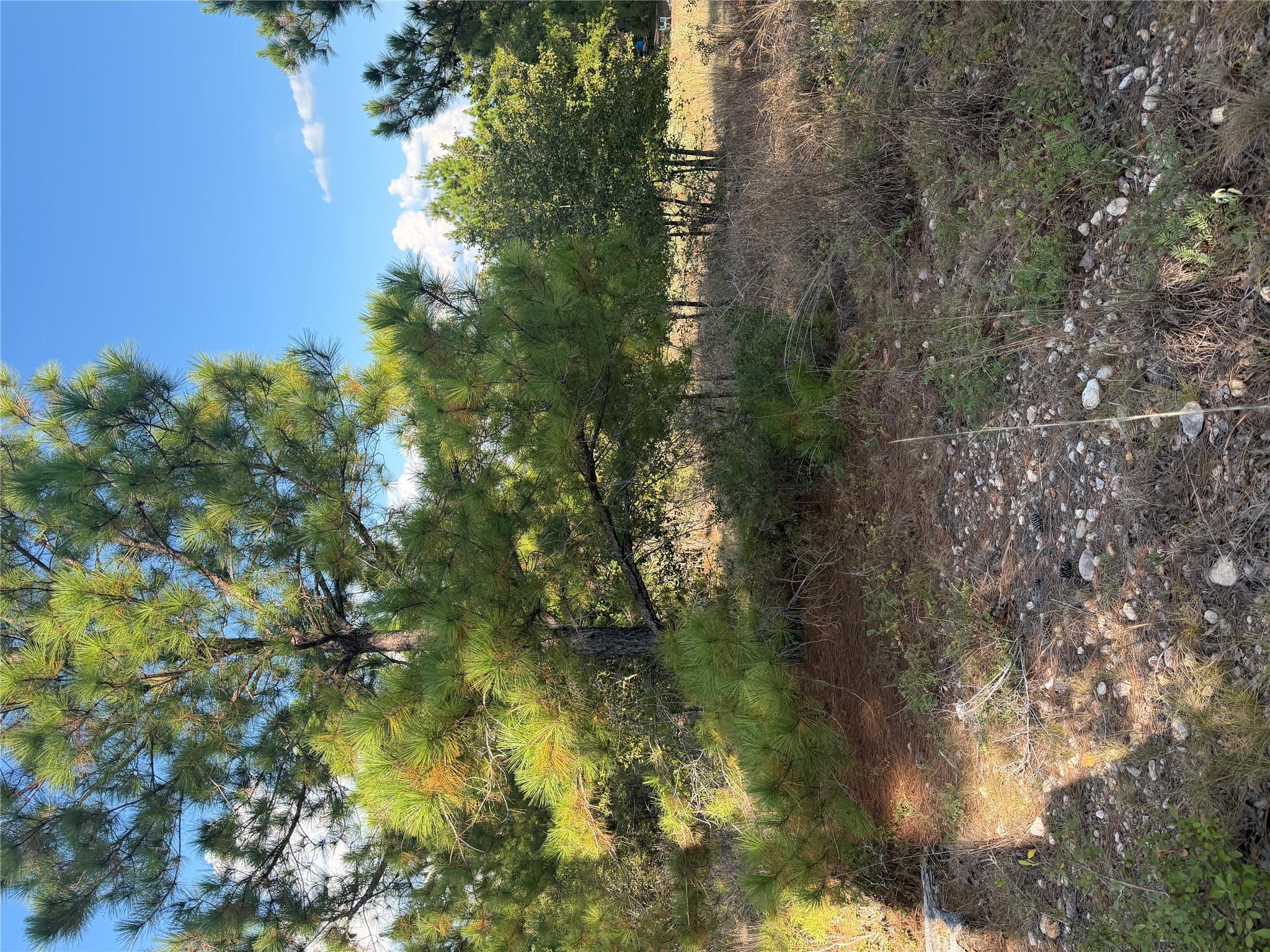 Lot 702 Oahu Ct Property Photo 2
