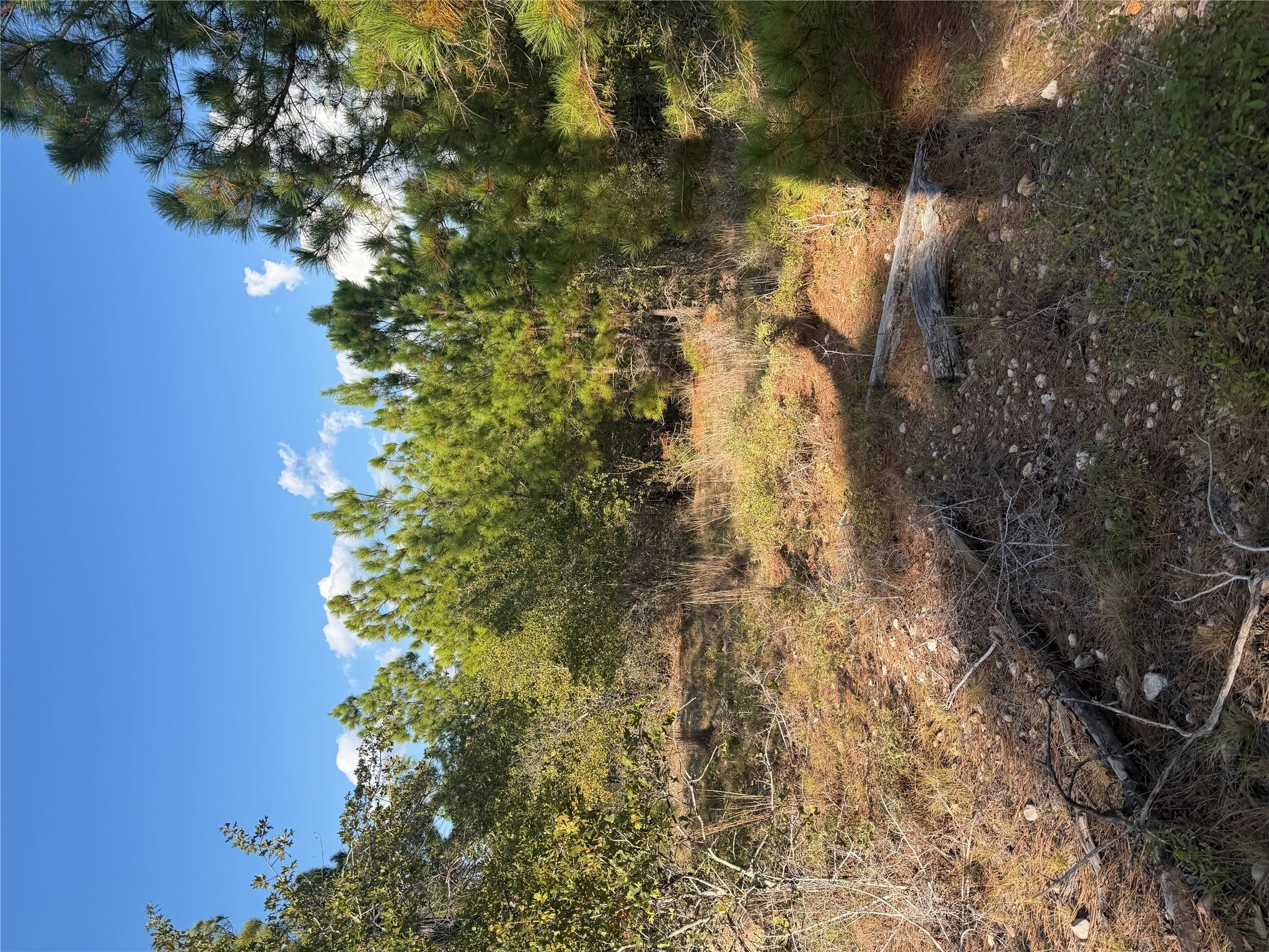 Lot 702 Oahu Ct Property Photo 3