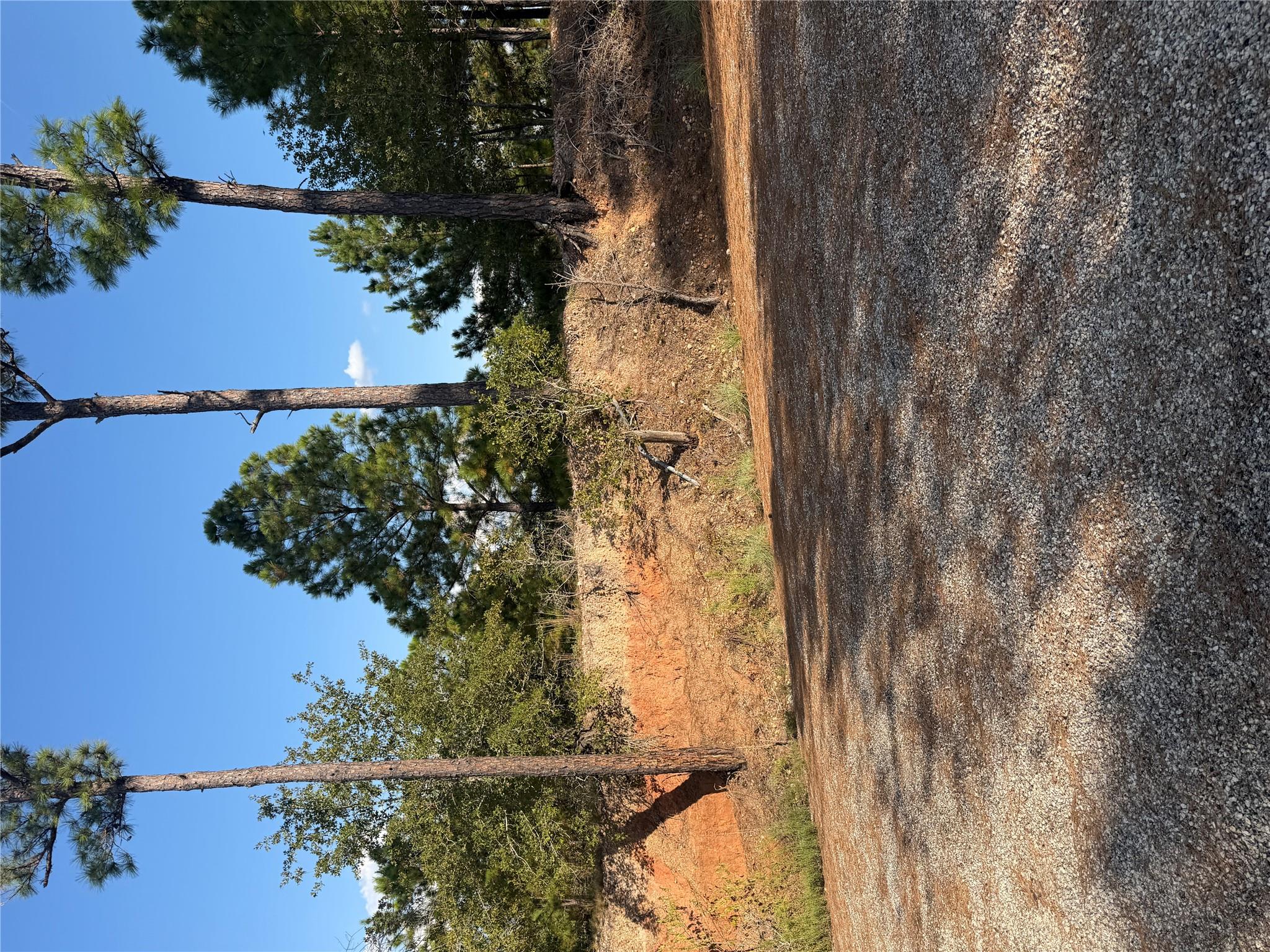 Lot 702 Oahu Ct Property Photo 6