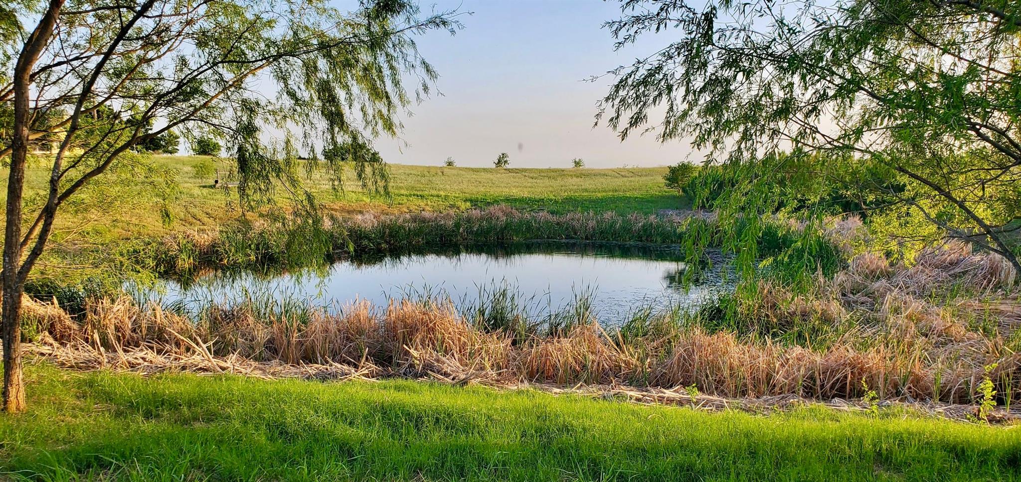 975 County Rd 458 (10 Acres) Property Photo