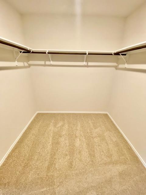 1733 James St Property Photo 10