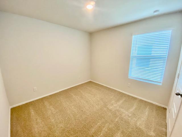 1733 James St Property Photo 13
