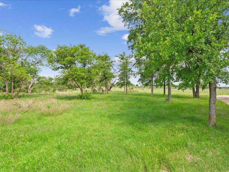 4170 Elm Grove Rd Property Photo 38