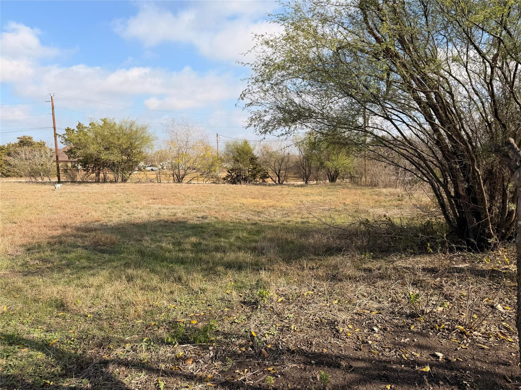 11622-a Doyle Overton-a Rd Property Photo 7