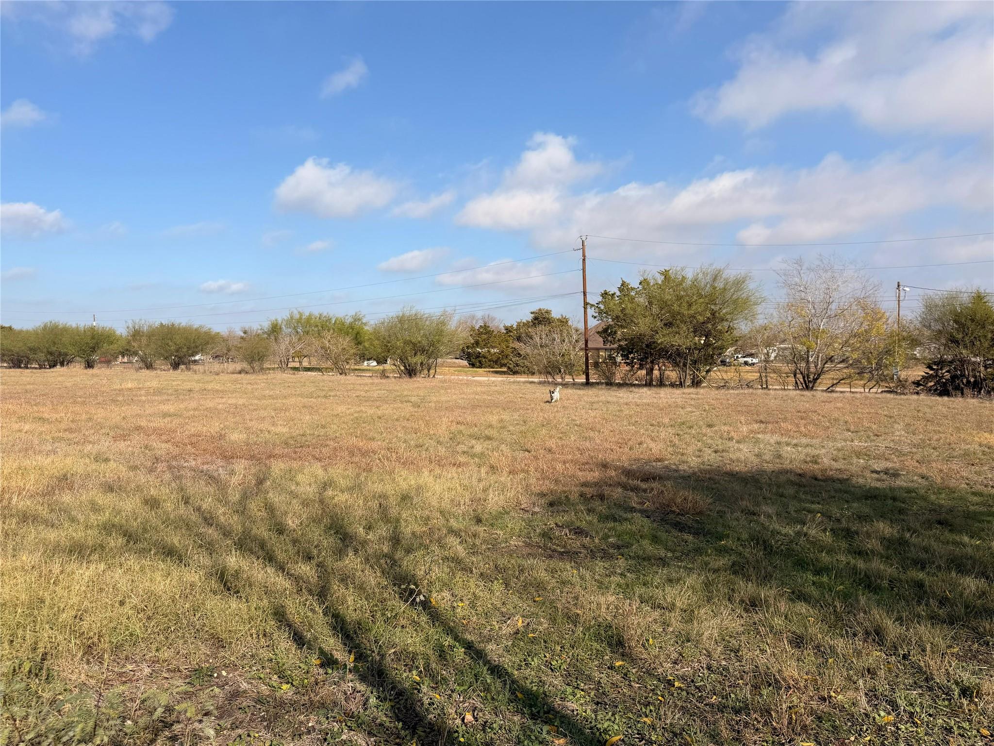 11622-a Doyle Overton-a Rd Property Photo 10