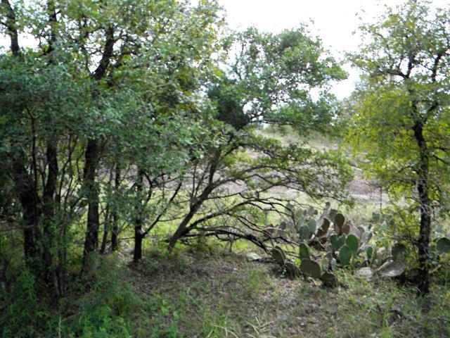 Tbd Hill Circle South Property Photo