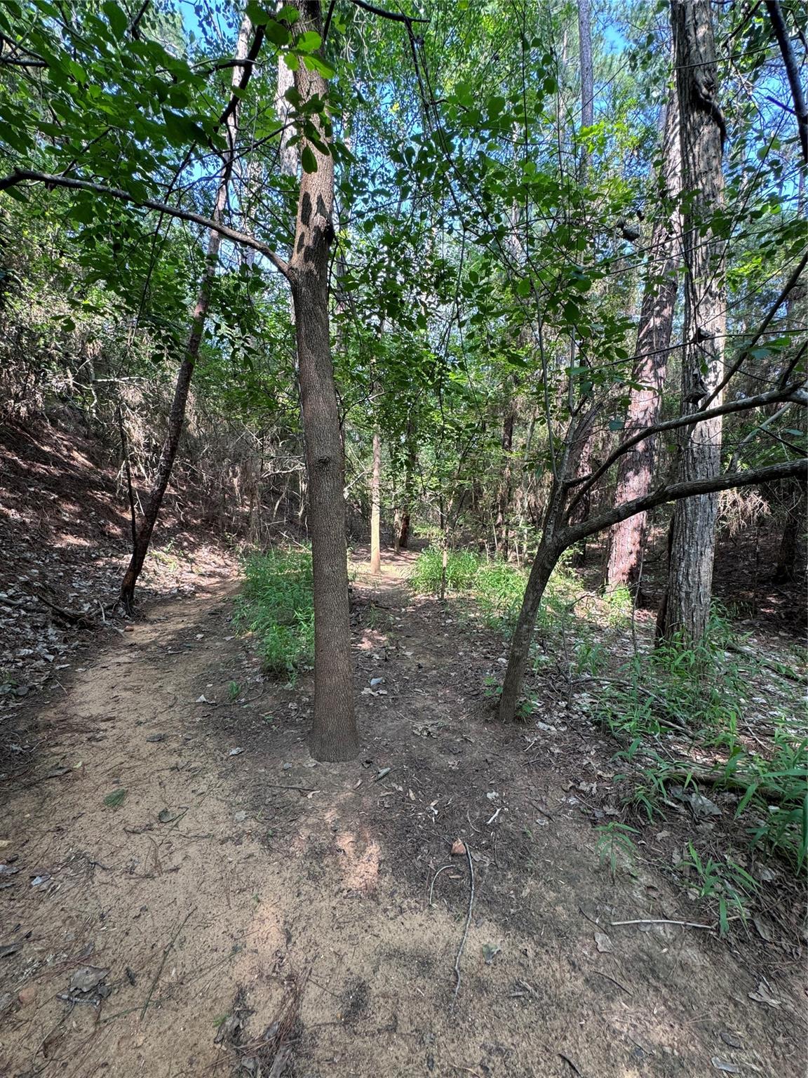 Lot 1451 & 1452 Akaloa Dr Property Photo 3