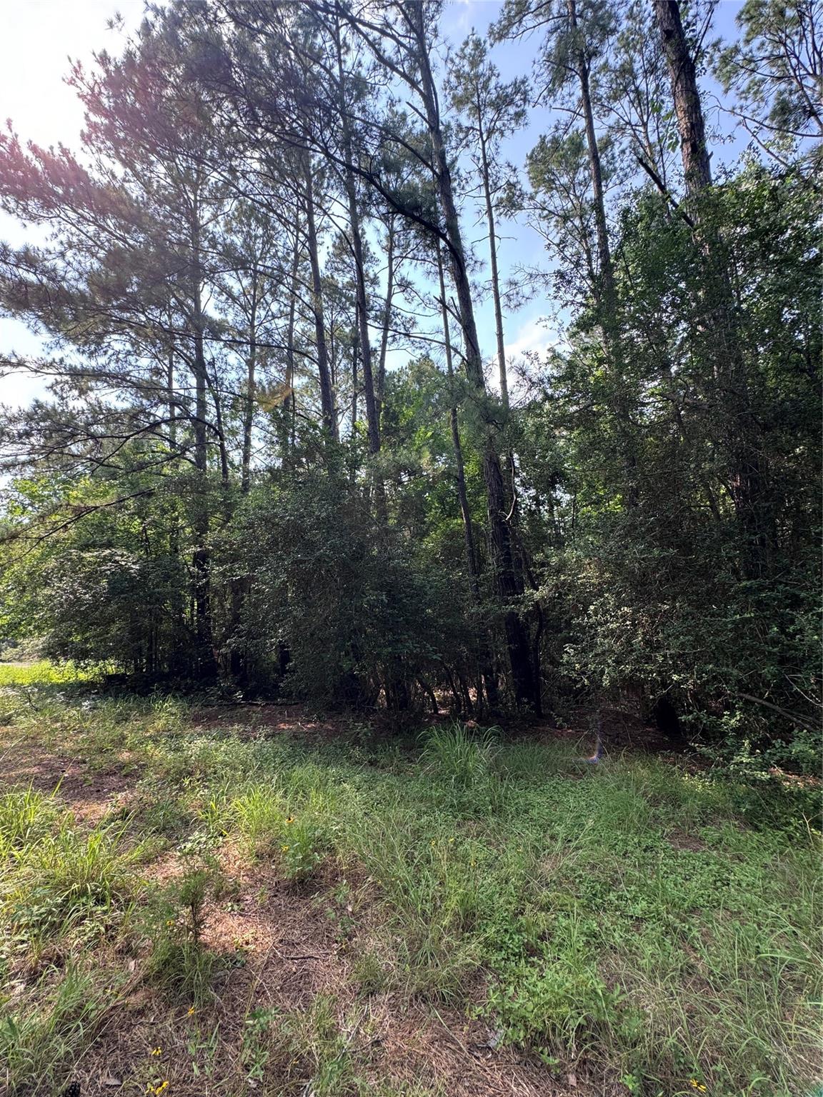Lot 1451 & 1452 Akaloa Dr Property Photo 5