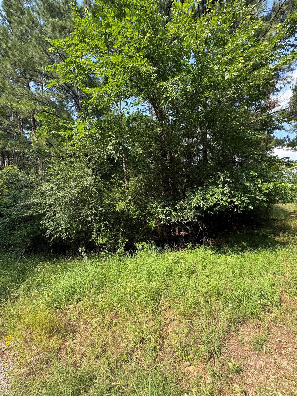 Lot 1451 & 1452 Akaloa Dr Property Photo 6