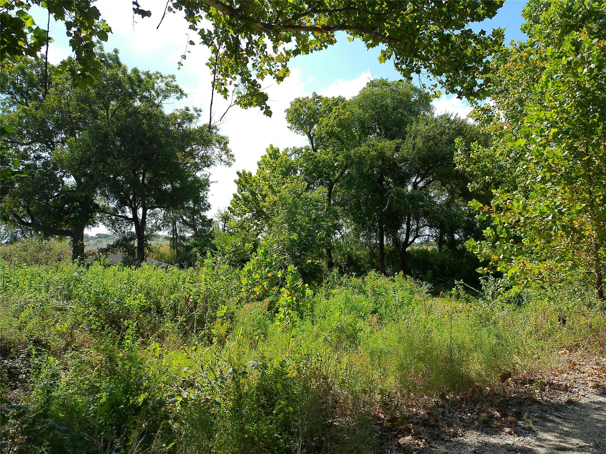 Lot 29 Serenity Dr Property Photo 3