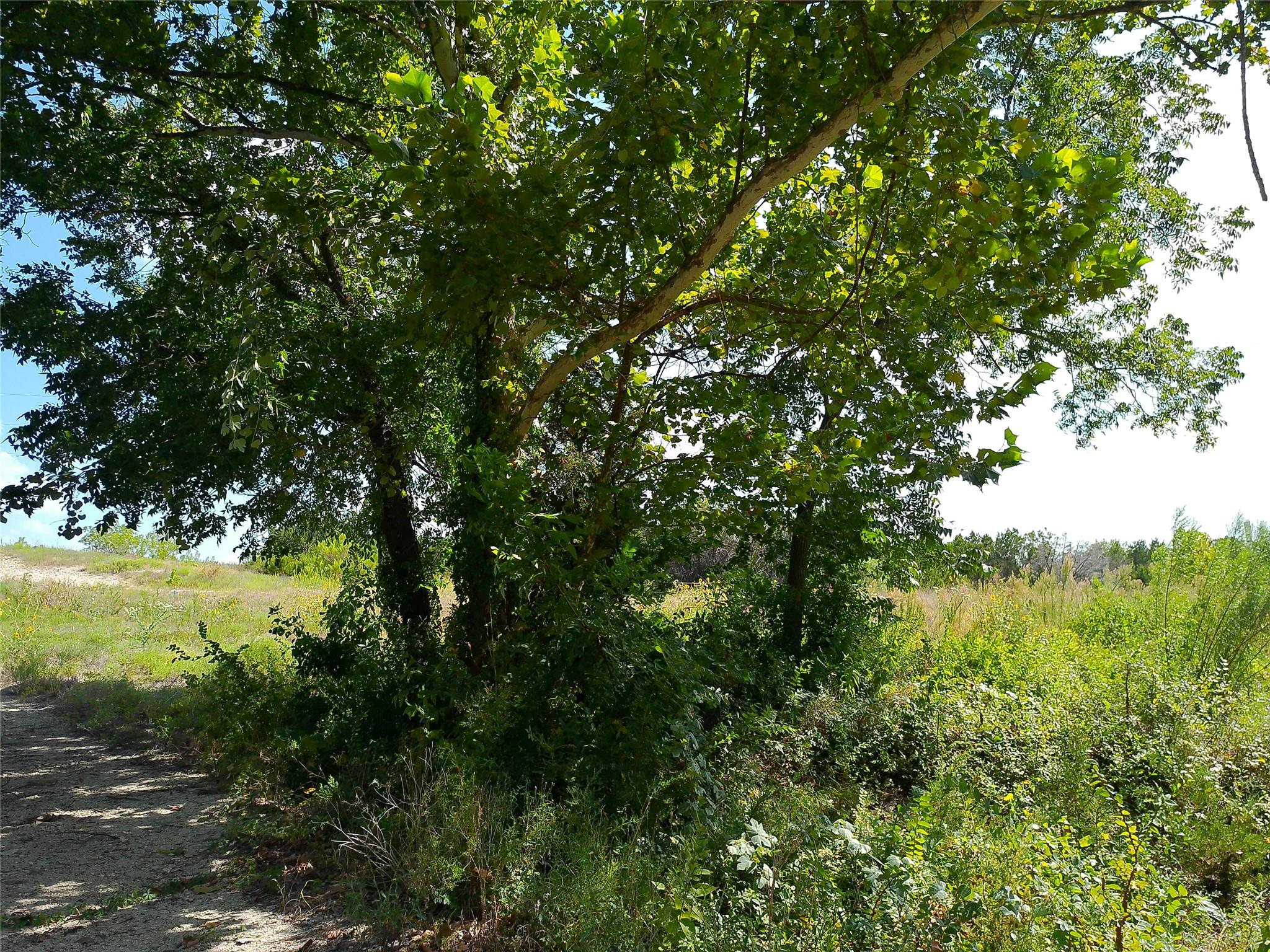 Lot 29 Serenity Dr Property Photo 4