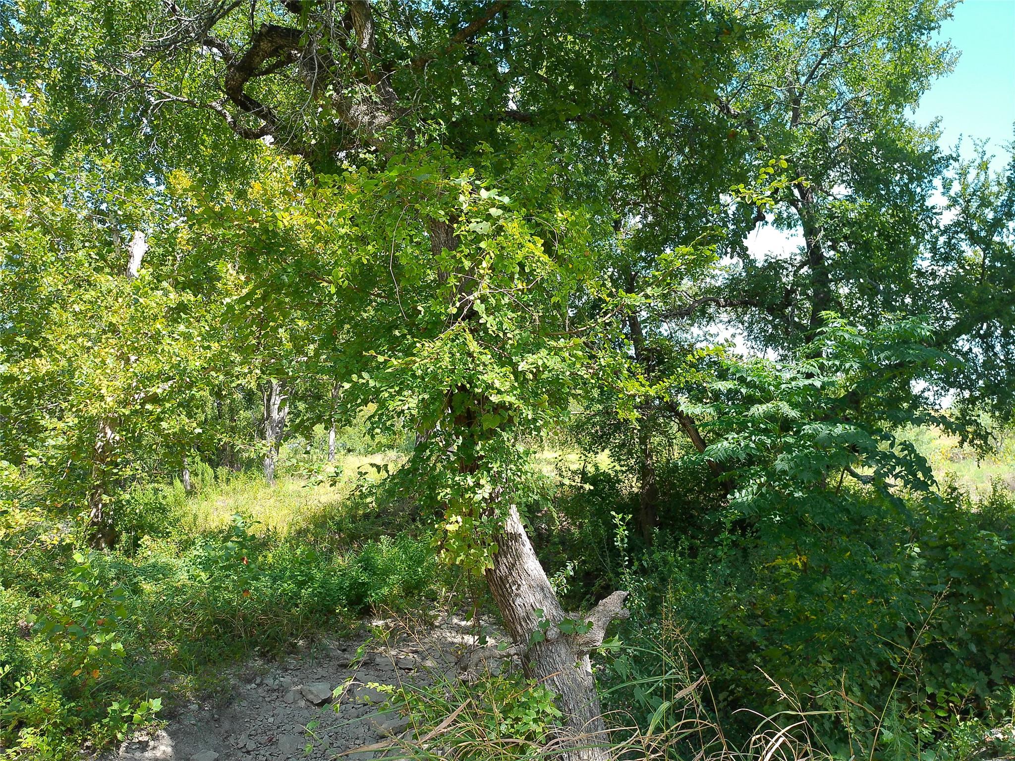 Lot 29 Serenity Dr Property Photo 6