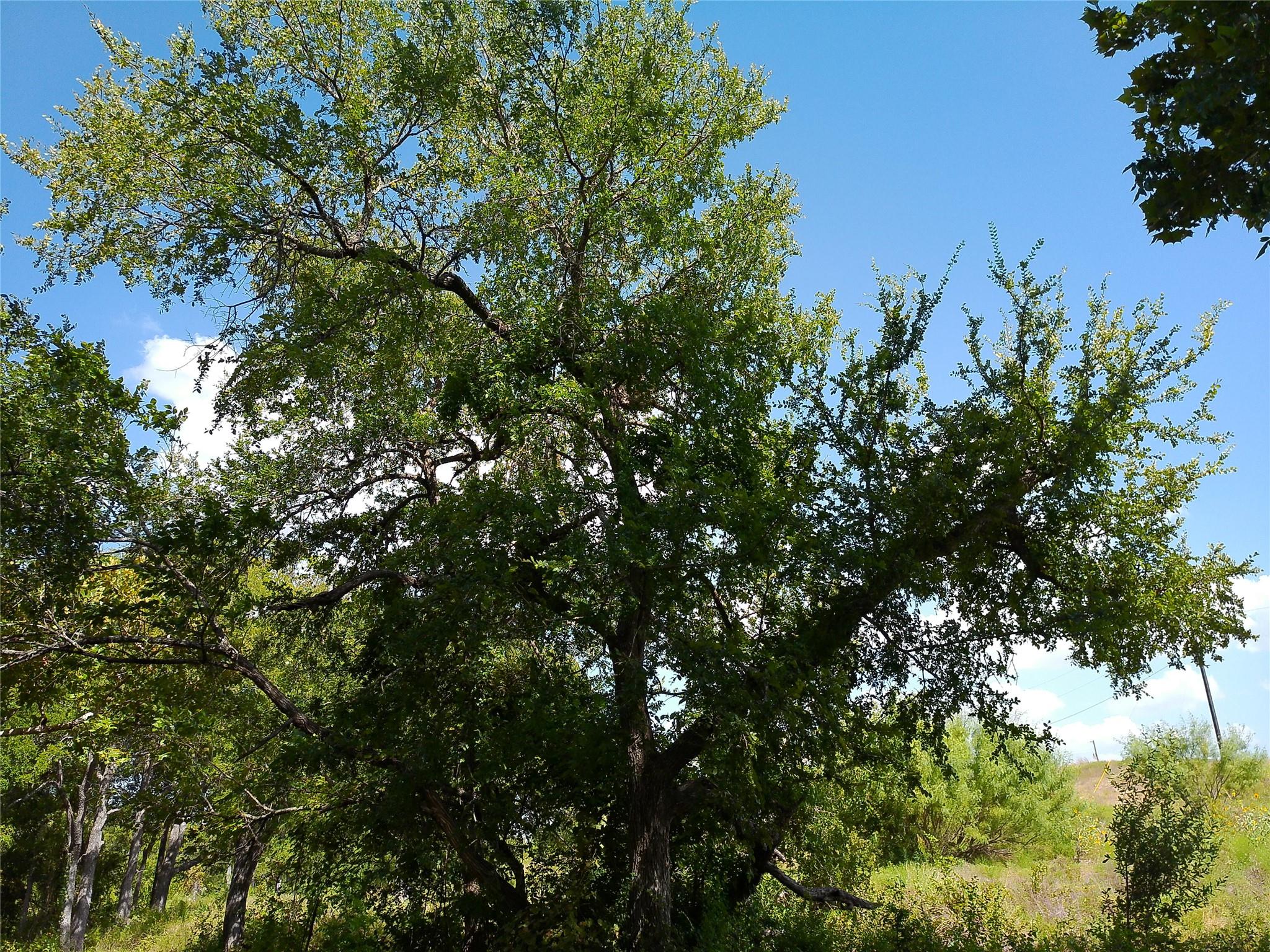 Lot 29 Serenity Dr Property Photo 8