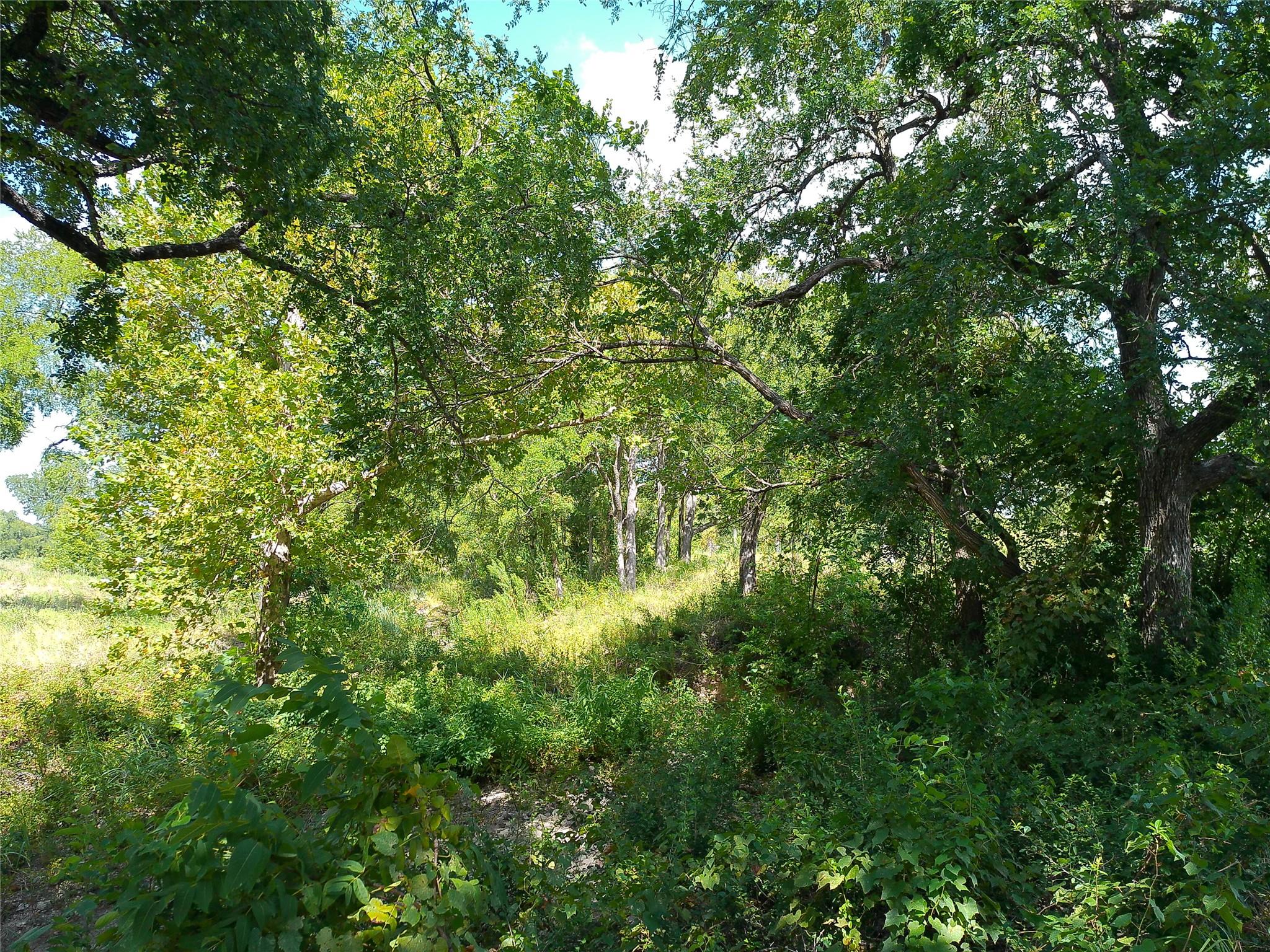 Lot 29 Serenity Dr Property Photo 9