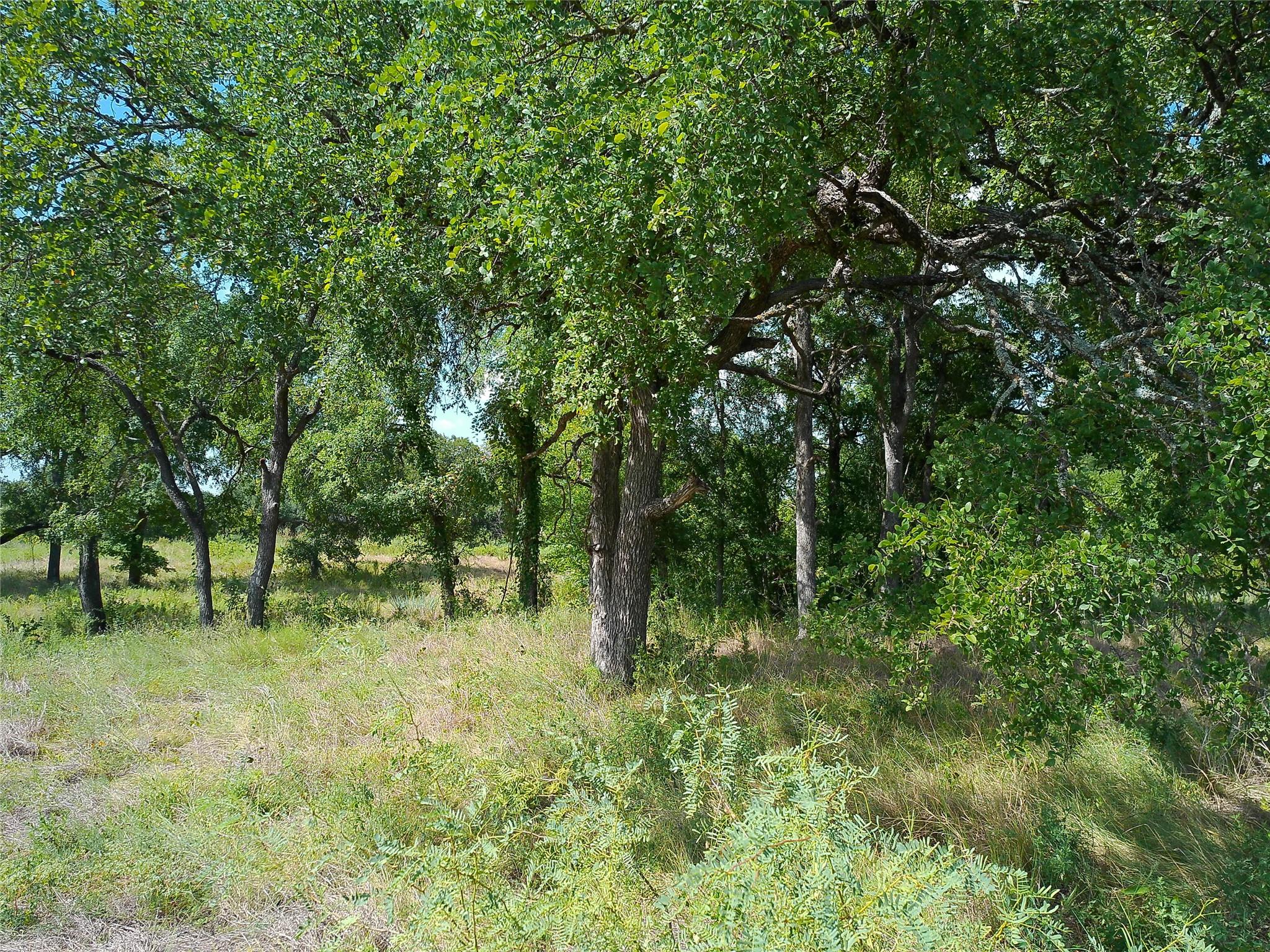 Lot 29 Serenity Dr Property Photo 11