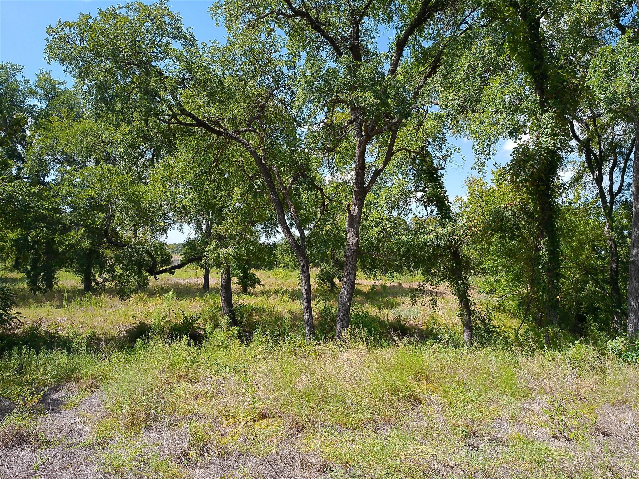 Lot 29 Serenity Dr Property Photo 12