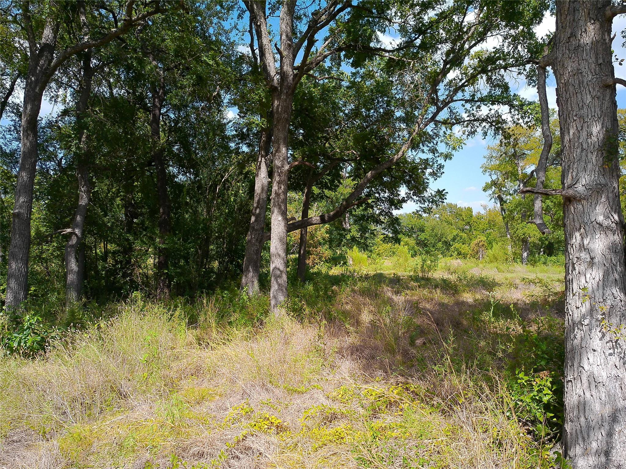 Lot 29 Serenity Dr Property Photo 14
