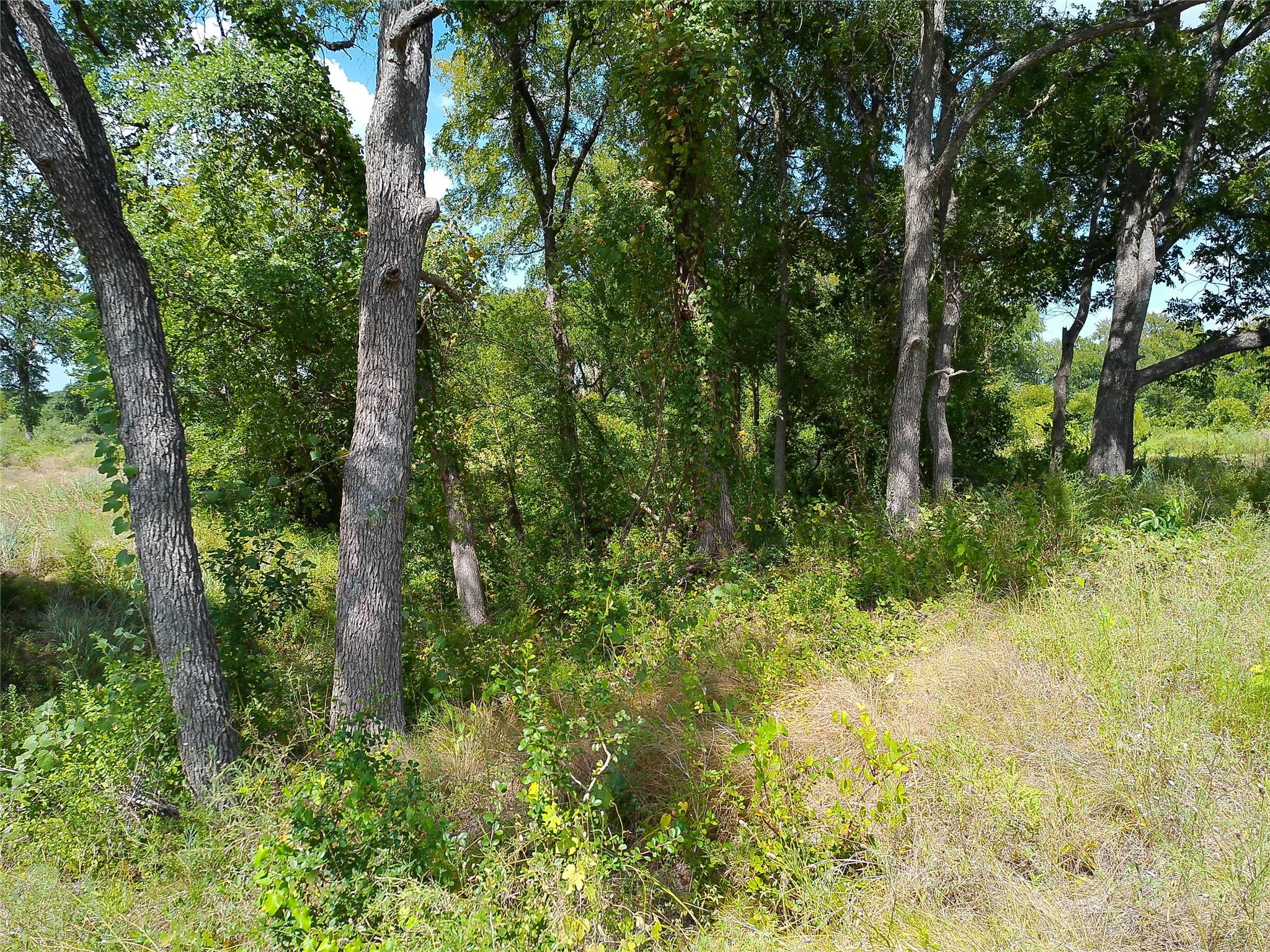Lot 29 Serenity Dr Property Photo 15