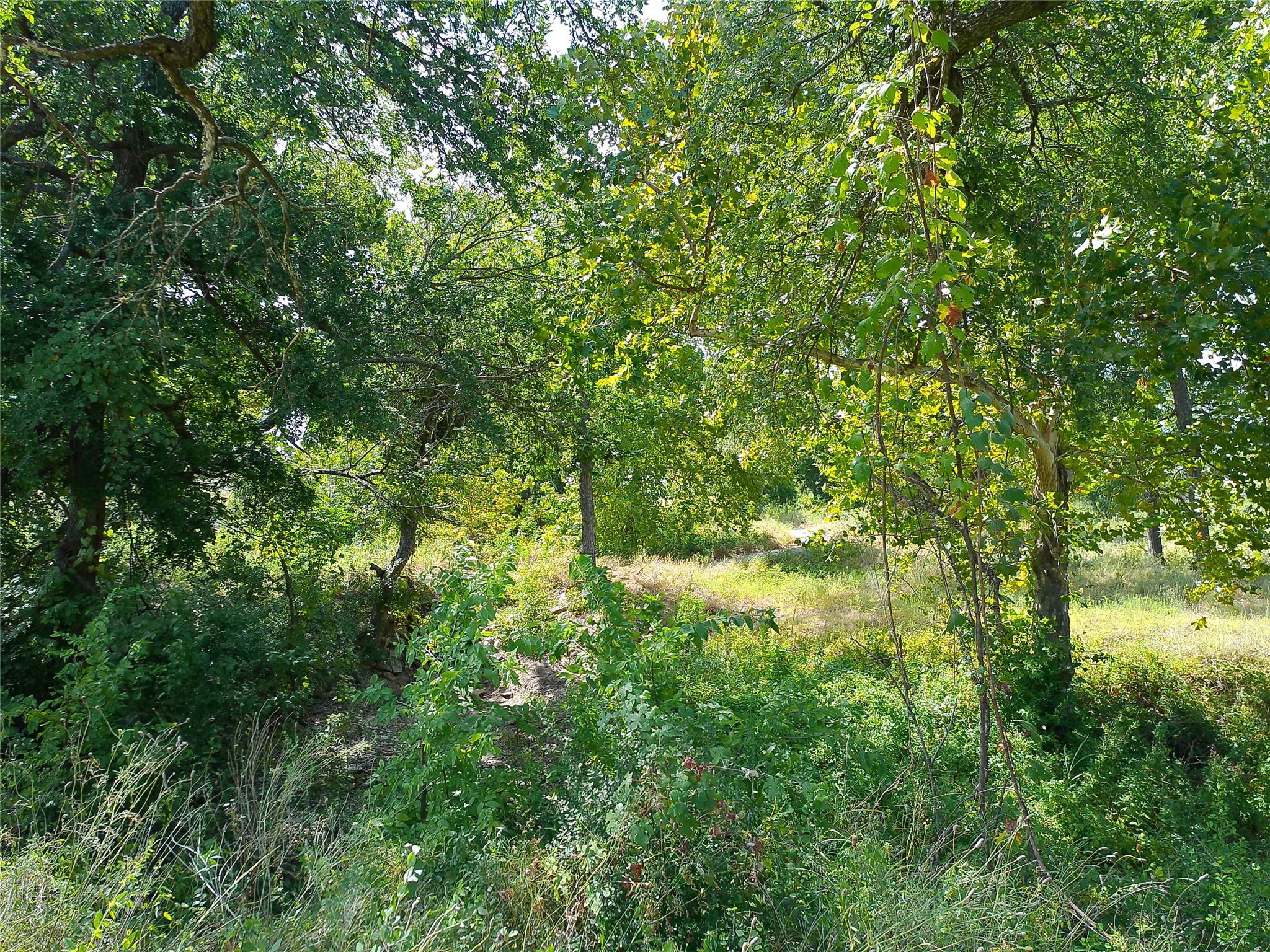 Lot 29 Serenity Dr Property Photo 16