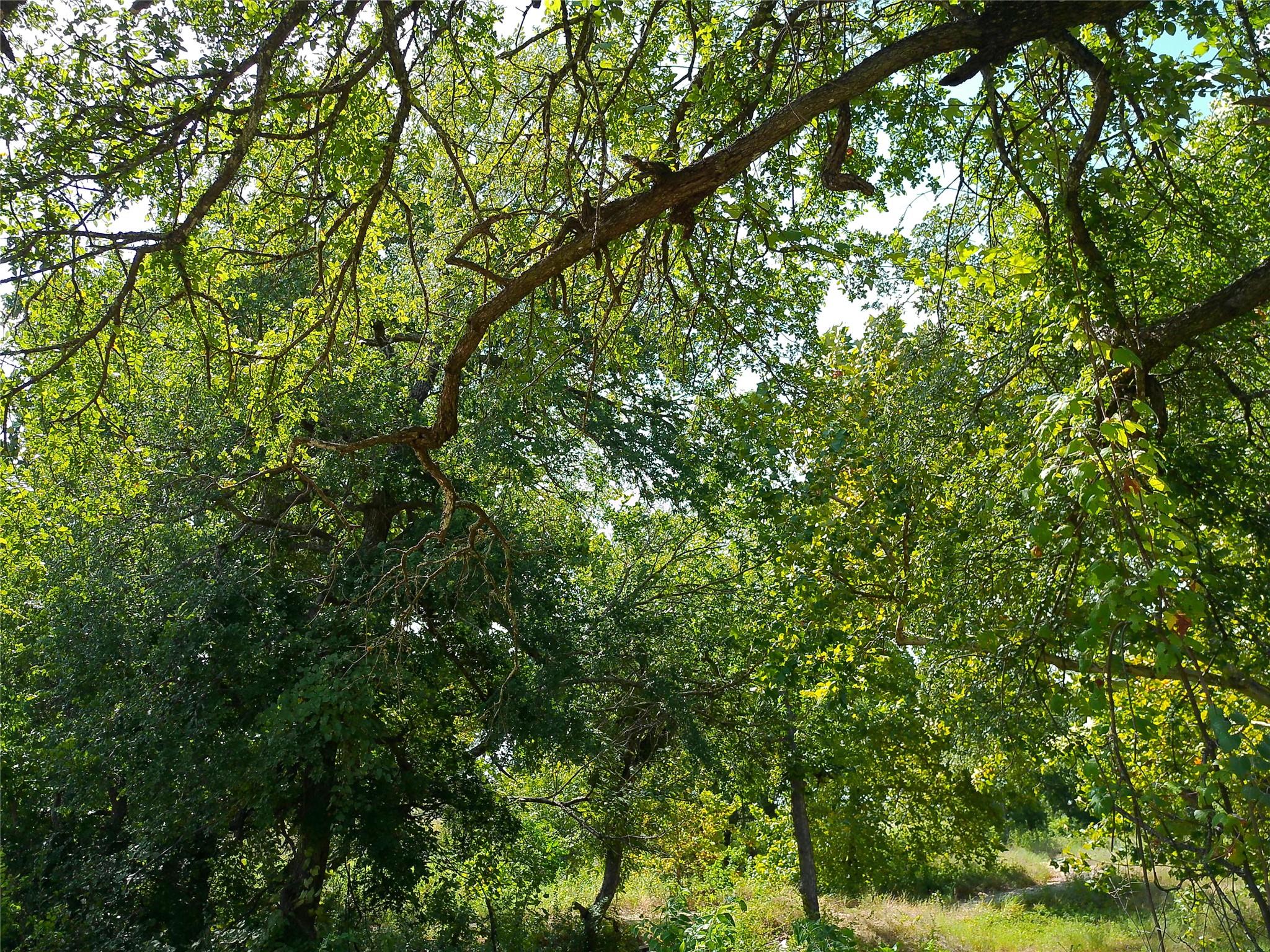 Lot 29 Serenity Dr Property Photo 17