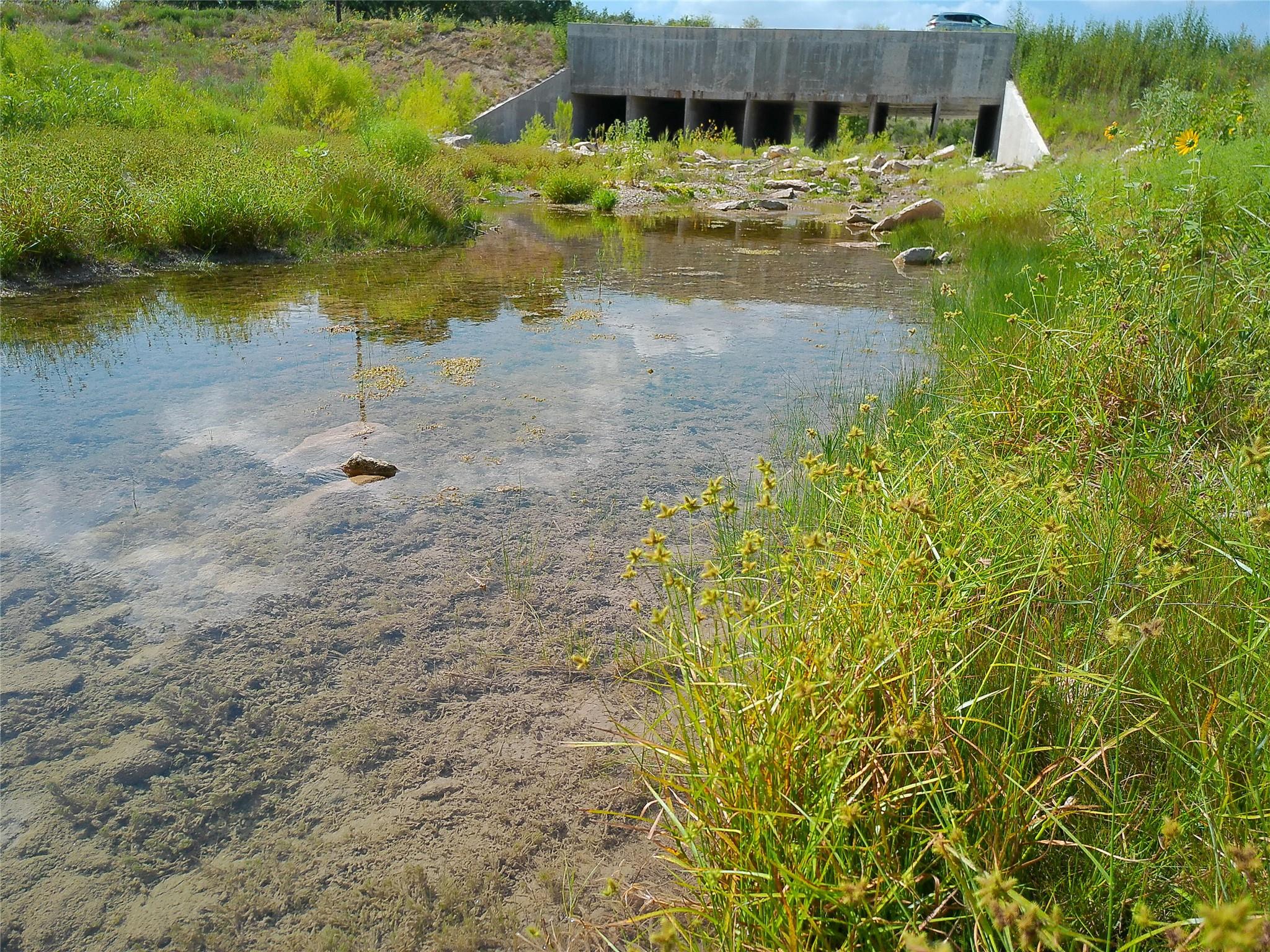 Lot 29 Serenity Dr Property Photo 18