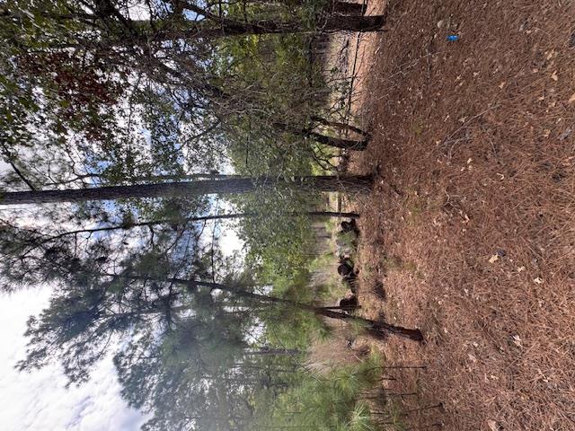 Tbd Otto Lane & Red Fox Rd Property Photo 1