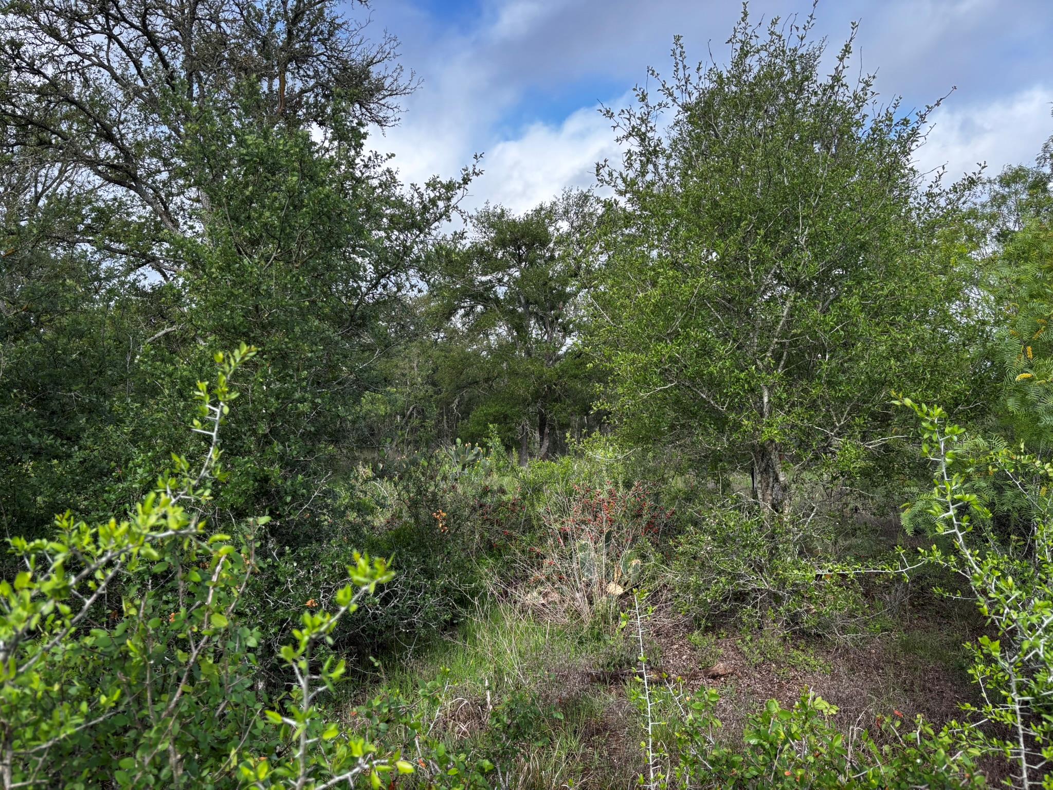 805 County Road 467 None Property Photo 15