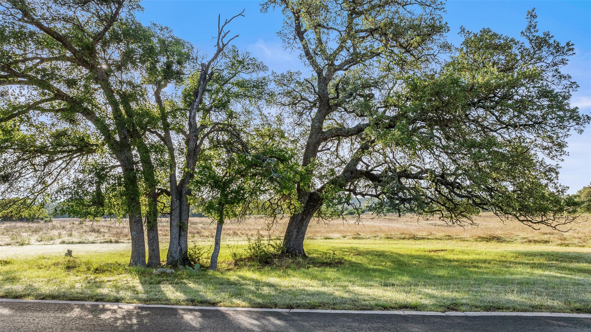 Lot 4 Vista Ridge Dr Property Photo 1