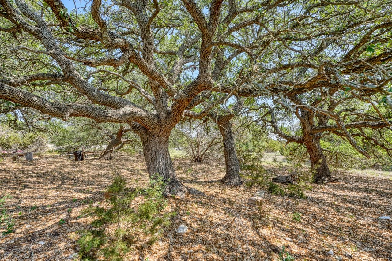 545 County Road 258 None Property Photo 18