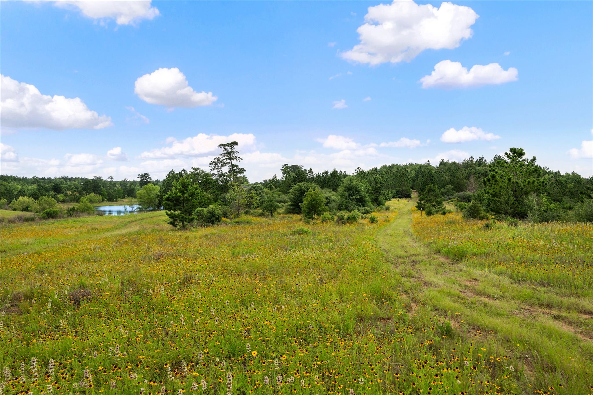 5795236 Property Photo 35
