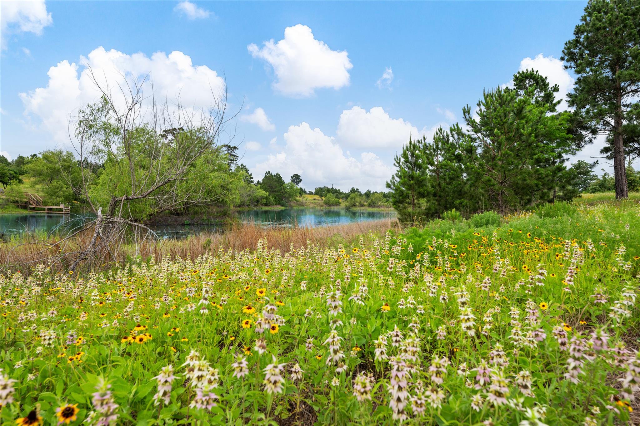5795236 Property Photo 36