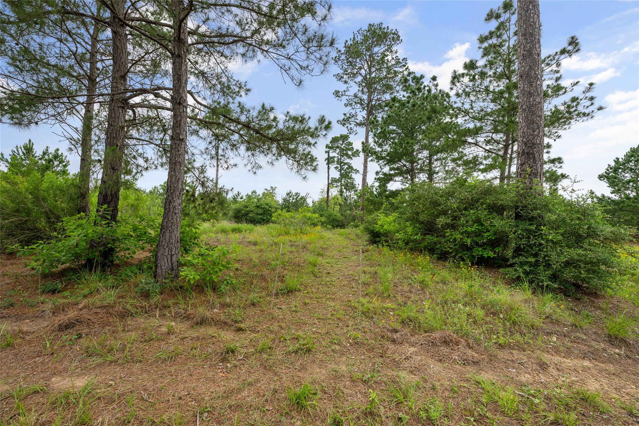 5795236 Property Photo 37