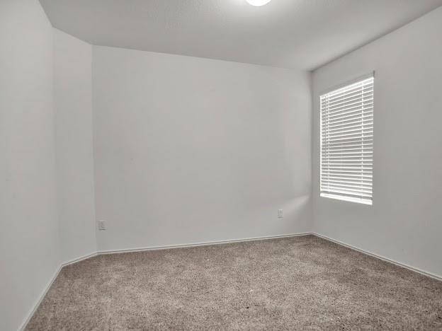 118 Calomel Trl Property Photo 10
